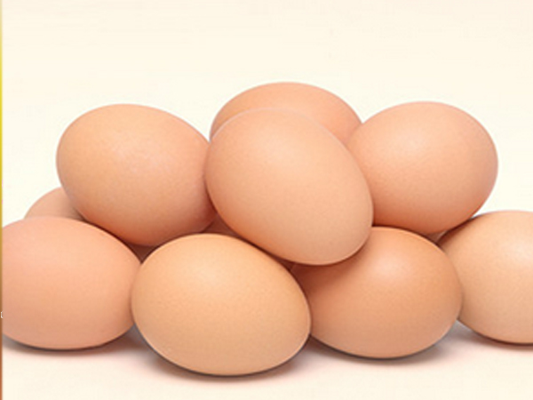 Egg and egg product category testing products