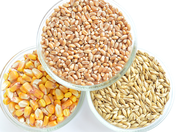 Ingredient identification and testing products