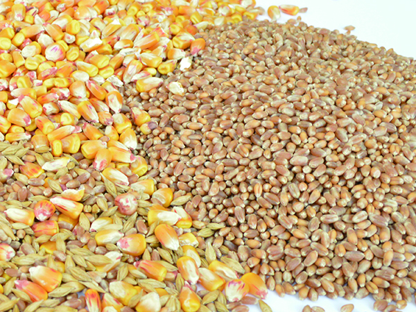 Pesticide residue detection products