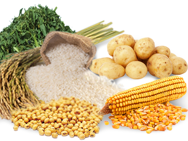 Genetically modified testing products